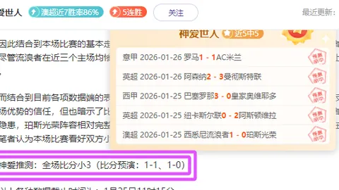 门希克问鼎荣耀：独占鳌头，击败弗里茨、德约等顶级网球高手