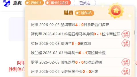 激情对决！霍芬海姆挑战德甲巅峰，谁能笑到最后？