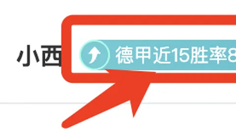 NBA焦点对决：黄蜂激战活塞，揭秘这场巅峰对决的看点！